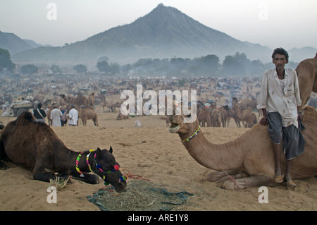 Kamel Trader bei der Pushkar Camel Fair in Rajasthan, Indien Stockfoto