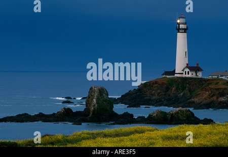 Pigeon Point Lighthouse im Frühjahr Stockfoto