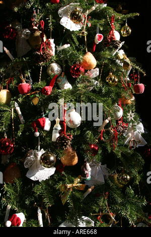 Norfolk Virginia, Freimaurerbezirk, Weihnachtsbaum Bäume historisch, Haus, Residenz, Haus Häuser Häuser Gehäuse, Immobilien, Eigentum, Nachbarschaft, Wohnsitz Stockfoto