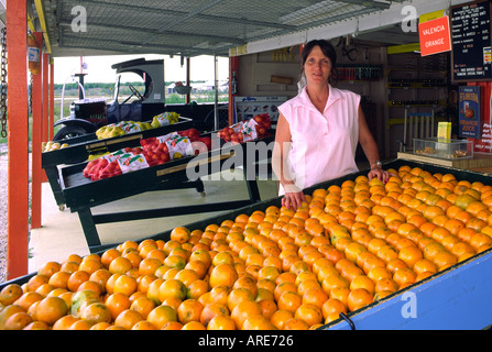 Florida, USA. Frau verkaufen lokale angebaute Orangen aus am Straßenrand Marktstand in der Nähe von wichtigen Zitrusfrüchten produzierenden Zentrum von Clermont Stockfoto