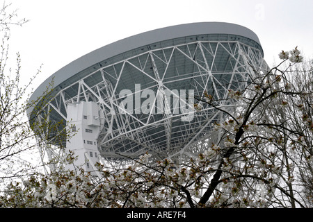 Jodrell Bank Radioteleskop Chester England Stockfoto