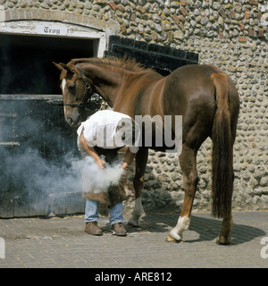 Hufschmied beschlagen ein Pferd von einem Norfolk Feuerstein stabil in England Großbritannien Stockfoto