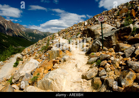 Einen reibungslosen Weg nach oben durch die Felsen windet sich nach oben auf einer Almwiese Stockfoto