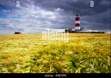 Happisburgh Leuchtturm Bereich der Gerste auf der Küste von Norfolk Stockfoto