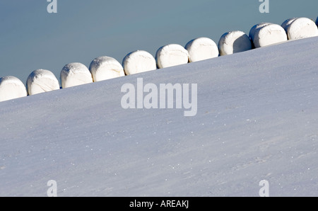 Heuballen bedeckt mit weißem Kunststoff auf Schnee im Winter, Finnland Stockfoto