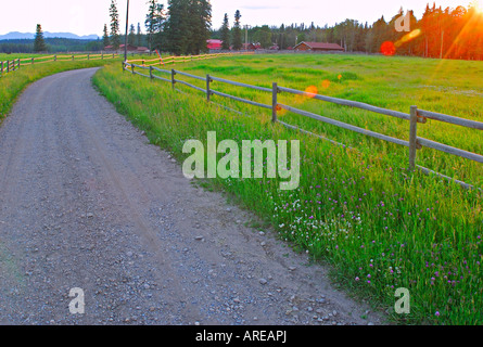 Ein Kiesweg im Morgenlicht Stockfoto