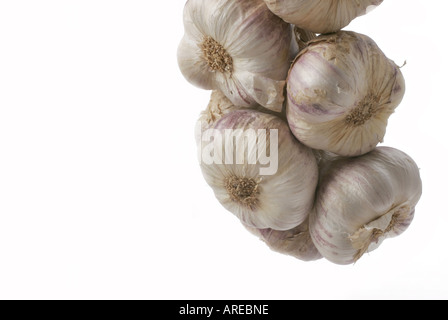 Knoblauch auf rechten Seite des Rahmens mit Leerraum links hängend Stockfoto