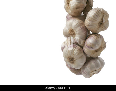 Knoblauch auf rechten Seite des Rahmens mit Leerraum links hängend Stockfoto