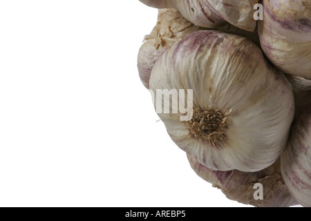 Nahaufnahme von Knoblauch auf rechten Seite des Rahmens mit Leerraum links hängend Stockfoto