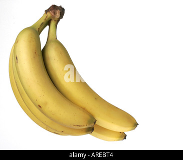 Bündel Bananen isoliert auf weiss Stockfoto