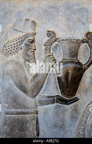 Geschnitzte Flachreliefs, die Gesandten der Thema Nationen von Persien bringen Geschenke Persepolis Iran Darstellung Stockfoto