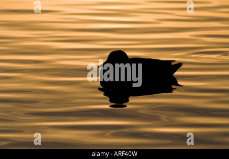 Welle Muster und Ente Silhouette, wie die Sonne den Horizont in Palo Alto Baylands, Kalifornien nähert. Stockfoto