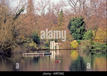 Schwimmteich, Hampstead Heath, London, England Stockfoto
