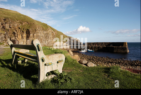 Holzsitz mit Blick auf Hafen Latheronwheel Caithness Schottland Stockfoto