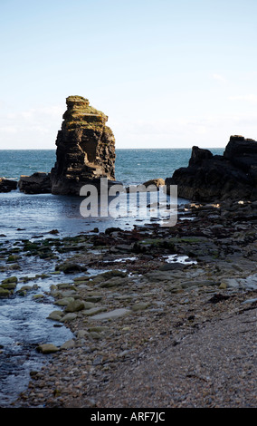 Meer-Stack Latheronwheel Caithness Schottland Stockfoto