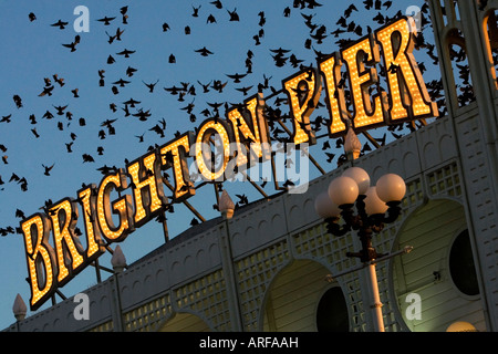 Brighton Pier Zeichen während der Dämmerung, während ein Schwarm Stare Tanz oben zu Tausenden, Brighton, East Sussex, UK. Stockfoto