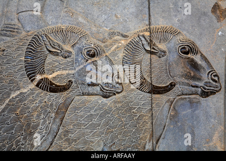 Geschnitzte Flachreliefs, die Gesandten der Thema Nationen von Persien bringen Geschenke Persepolis Iran Darstellung Stockfoto