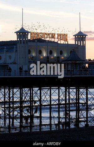 Brighton Pier während der Dämmerung, während ein Schwarm Stare tanzen oben zu Tausenden, Brighton, East Sussex, UK. Stockfoto