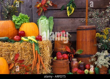 Amerikanische Rückgang der Ernte auf dem Display auf dem Bauernmarkt Stockfoto