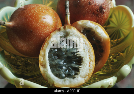 süße Granadilla (Passiflora Ligularis), Früchte in eine Schüssel geben Stockfoto