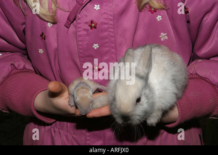 Zwerg Kaninchen (Oryctolagus Cuniculus F. Domestica), fünf Tage und fünf Wochen alten Jungtiere in den Armen einer Frau Stockfoto