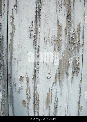Rauen und rissigen weißen Farbe auf Tür verblasst Stockfoto