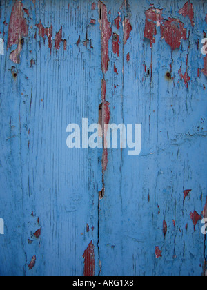 Verblasst und rissig blaue Farbe an Tür mit rot durchscheinen Stockfoto