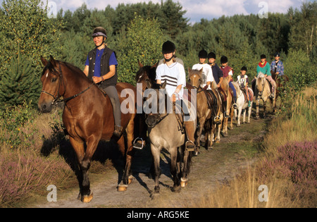 Gruppe von Mädchen und ihre Pferde Reiten in der Heide Stockfoto