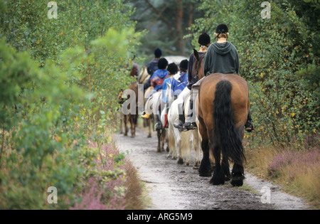 Gruppe von Mädchen und ihre Pferde Reiten in der Heide Stockfoto