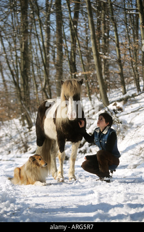 Ein Mädchen einen Hund und ein Islandpferd auf einem schneebedeckten Weg Stockfoto