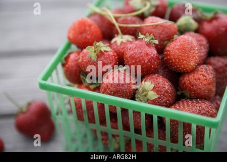 Korb mit Erdbeeren Stockfoto