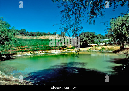 "Napa Valley" CA USA "California Wine Region" Weinkulturlandschaft mit Teich Stockfoto