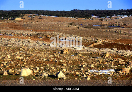 Ifrane Meknès-Tafilalet mittleren Atlas Marokko Maghreb maghrebinischen Berber arabische arabische marokkanische Nordafrika Stockfoto