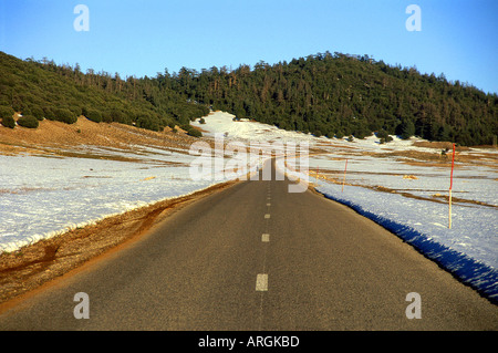 Ifrane Meknès-Tafilalet mittleren Atlas Marokko Maghreb maghrebinischen Berber arabische arabische marokkanische Nordafrika Stockfoto