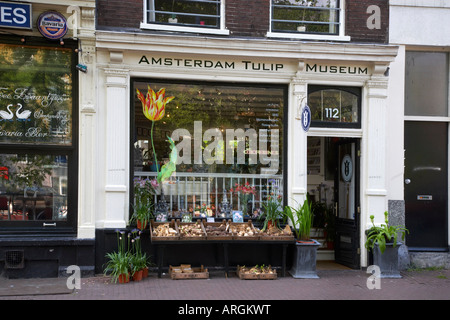 Amsterdamer Tulpenmuseum, Amsterdam, Niederlande Stockfoto