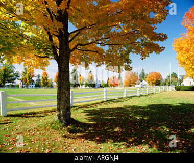 USA-VERMONT-WEBBER GEMEINSAME Stockfoto