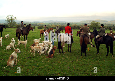 Jagen Sie die Cotswolds Gloucestershire England früh treffen Stockfoto