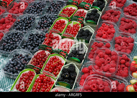 Frisches Obst zum Verkauf auf Borough Market London Stockfoto