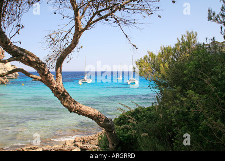 Bucht von Cala Macarella, Nr Cala Santa Galdana, auf der südlichen Küste von Menorca, Balearische Inseln, Spanien. Stockfoto