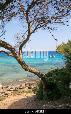 Bucht von Cala Macarella, Nr Cala Santa Galdana, auf der südlichen Küste von Menorca, Balearische Inseln, Spanien. Stockfoto