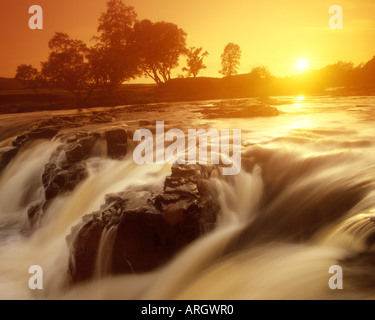 GB - CO. DURHAM: Low Force Wasserfälle in der Nähe von Middleton in Teesdale Stockfoto