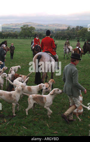 Fuchsjagd. Jagen Sie am frühen Morgen Meeting in The Cotswolds Gloucestershire Landschaft UK Europe Stockfoto