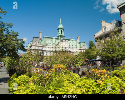 Ein Blick durch bunte Blumen in Place Jacques Cartier, Hotel de Ville in Vieux Montreal, Quebec, Kanada Stockfoto