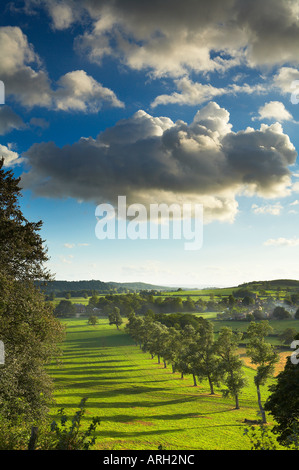 ein dramatischer Himmel über eine Allee von Bäumen und Milborne Port nr Sherborne Dorset Somerset Grenze England UK NR Stockfoto