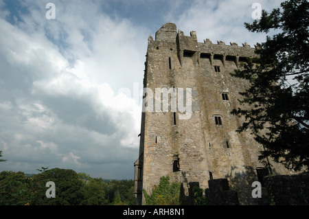 Eine allgemeine Ansicht des Blarney Castle in der Nähe der Stadt Cork in Irland in Blarney abgebildet. Stockfoto