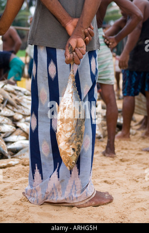 Ein Mann steht, ein frisch gekauften Fisch aus einem riesigen Fang landeten an Hikkaduwa Strand hält Stockfoto