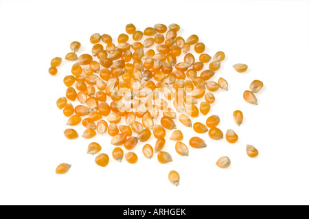 Popcorn Mais Popp pop unpopped Mais Mais Ausschnitt auf weißem Hintergrund Stockfoto