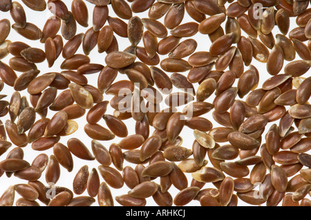 braun dunkel kupferbraun Leinsamen Leinsamen Samen Leinsamen Leinsamen Leinsamen auf weißem Hintergrund Stockfoto