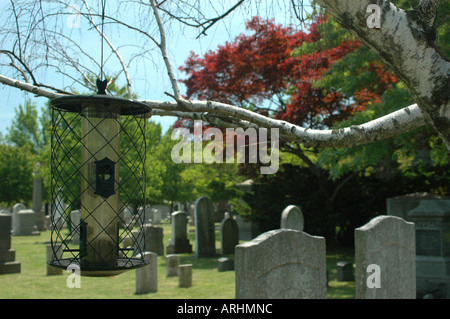 Futterhäuschen hängt an dem Baum in der Grove Street Cemetery nationalen historischen Wahrzeichen New Haven Connecticut Stockfoto