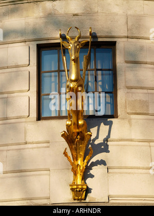 Vergoldete Springbok an der Fassade des Südafrika Haus Trafalgar Square London SW1 England Stockfoto